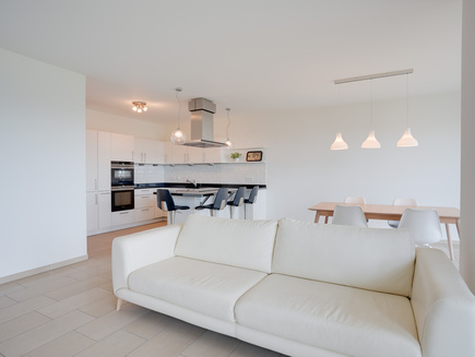 Couch, kitchen and dining table