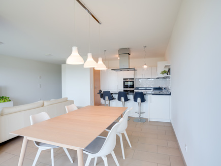 Dining table and kitchen view from south